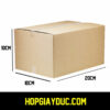 Hộp Carton COD B22 – 20x10x10 Cm