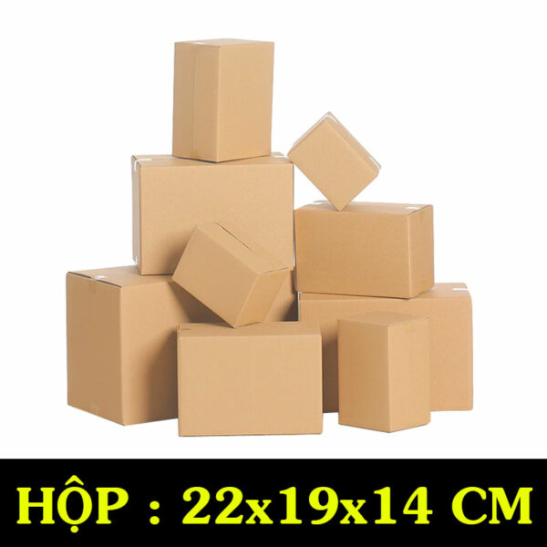 Hộp Carton COD B52– 22x19x14 Cm