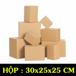 Hộp Carton COD B20 – 30x25x25 Cm